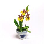 Orchidee gelb Topf blau-weiß