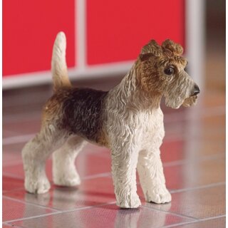 Hund Fox Terrier Tommy